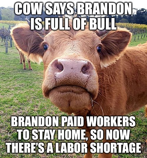 Biden, a.k.a. Meathead, Blames Meat Industry For Meat Inflation! | COW SAYS BRANDON IS FULL OF BULL; BRANDON PAID WORKERS TO STAY HOME, SO NOW THERE’S A LABOR SHORTAGE | image tagged in political meme,biden blames meat conglomerates for price gouging,biden responsible for inflation,biden shuts down oil drilling | made w/ Imgflip meme maker