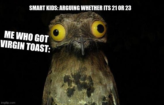 Weird Stuff I Do Potoo | SMART KIDS: ARGUING WHETHER ITS 21 OR 23; ME WHO GOT VIRGIN TOAST: | image tagged in memes,weird stuff i do potoo | made w/ Imgflip meme maker