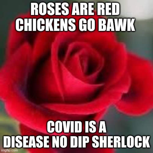 roses are red | ROSES ARE RED 
CHICKENS GO BAWK; COVID IS A DISEASE NO DIP SHERLOCK | image tagged in roses are red | made w/ Imgflip meme maker