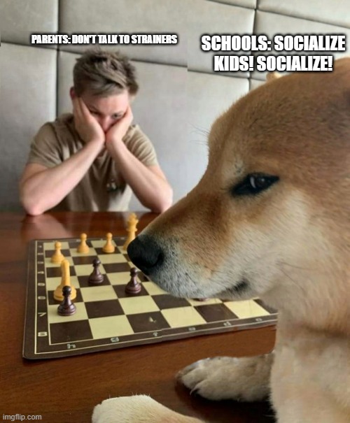 This is oddly true for JK | PARENTS: DON'T TALK TO STRAINERS; SCHOOLS: SOCIALIZE KIDS! SOCIALIZE! | image tagged in chess doge | made w/ Imgflip meme maker