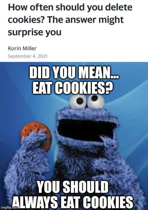To eat or eat? | DID YOU MEAN... EAT COOKIES? YOU SHOULD ALWAYS EAT COOKIES | image tagged in cookie monster,memes,computer,internet | made w/ Imgflip meme maker