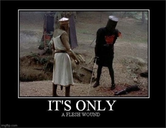 Flesh Wound | image tagged in flesh wound | made w/ Imgflip meme maker