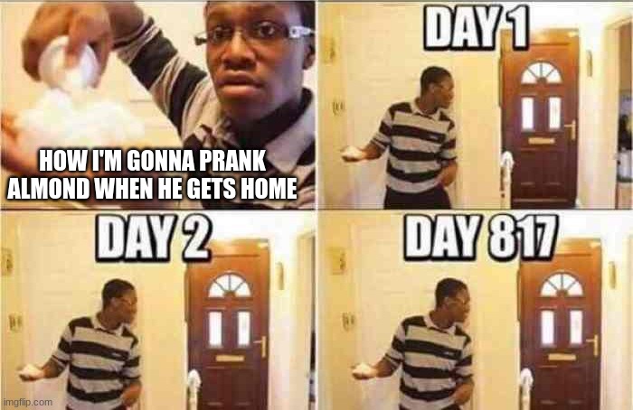 dilf cookie does not exist | HOW I'M GONNA PRANK ALMOND WHEN HE GETS HOME | image tagged in gonna prank x when x | made w/ Imgflip meme maker