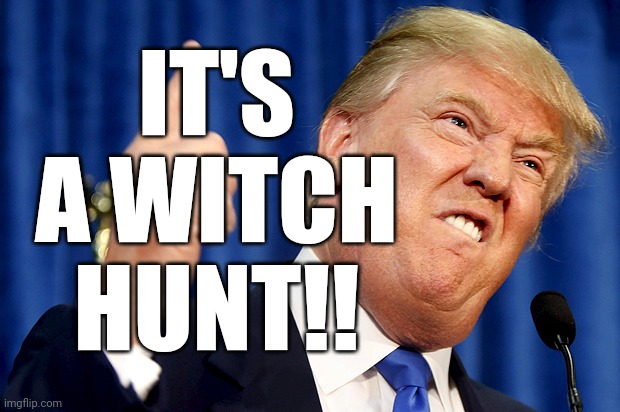 Donald Trump | IT'S A WITCH HUNT!! | image tagged in donald trump | made w/ Imgflip meme maker