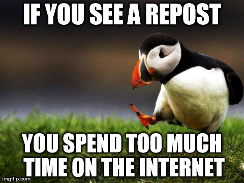 Unpopular Opinion Puffin Meme | IF YOU SEE A REPOST YOU SPEND TOO MUCH TIME ON THE INTERNET | image tagged in memes,unpopular opinion puffin | made w/ Imgflip meme maker