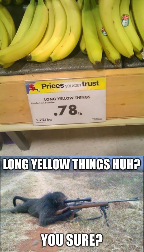 Insanely creative title | LONG YELLOW THINGS HUH? YOU SURE? | image tagged in monkeys n guns | made w/ Imgflip meme maker