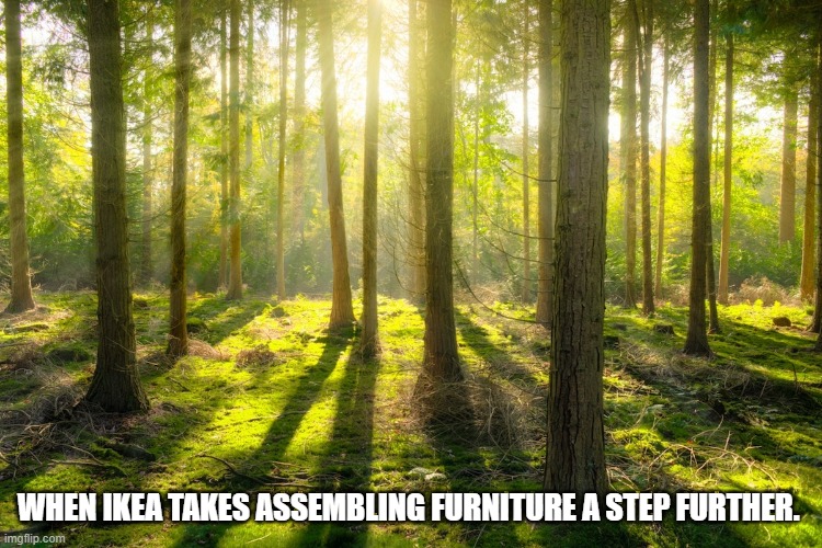  WHEN IKEA TAKES ASSEMBLING FURNITURE A STEP FURTHER. | image tagged in trees,ikea | made w/ Imgflip meme maker