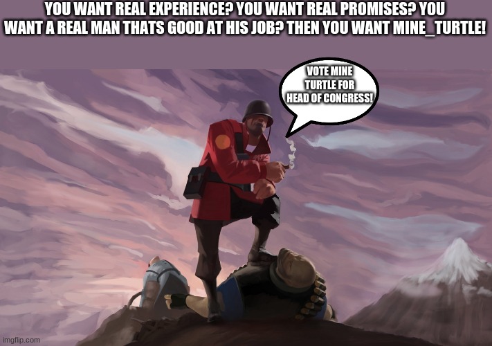 make the right choice! the mine_turtle choice! | YOU WANT REAL EXPERIENCE? YOU WANT REAL PROMISES? YOU WANT A REAL MAN THATS GOOD AT HIS JOB? THEN YOU WANT MINE_TURTLE! VOTE MINE TURTLE FOR HEAD OF CONGRESS! | made w/ Imgflip meme maker