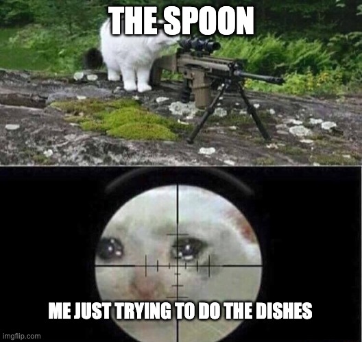 THE SPOON ME JUST TRYING TO DO THE DISHES | image tagged in sniper cat | made w/ Imgflip meme maker