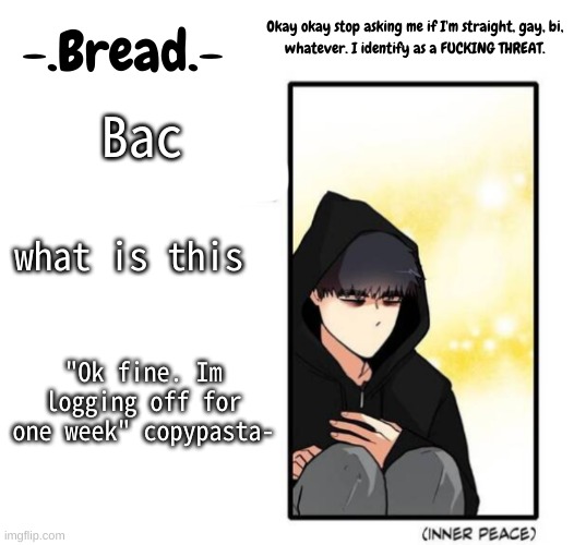 *confusion intensifies* | Bac; what is this; "Ok fine. Im logging off for one week" copypasta- | image tagged in breads inner peace temp | made w/ Imgflip meme maker