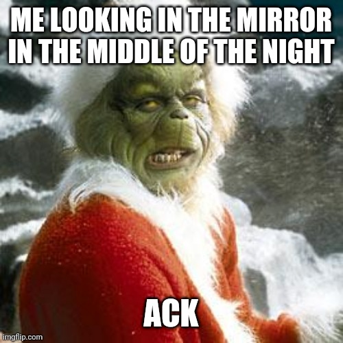 Unfortunately true | ME LOOKING IN THE MIRROR IN THE MIDDLE OF THE NIGHT; ACK | image tagged in grinch,mirror | made w/ Imgflip meme maker