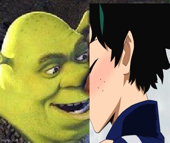 my OTP, shreku | image tagged in shreku,mha | made w/ Imgflip meme maker