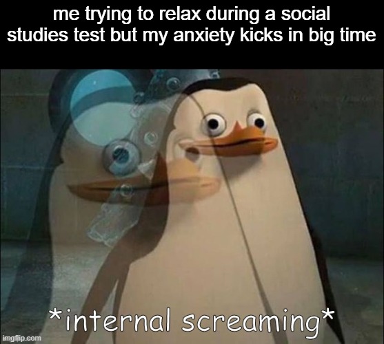 Private Internal Screaming | me trying to relax during a social studies test but my anxiety kicks in big time | image tagged in private internal screaming | made w/ Imgflip meme maker