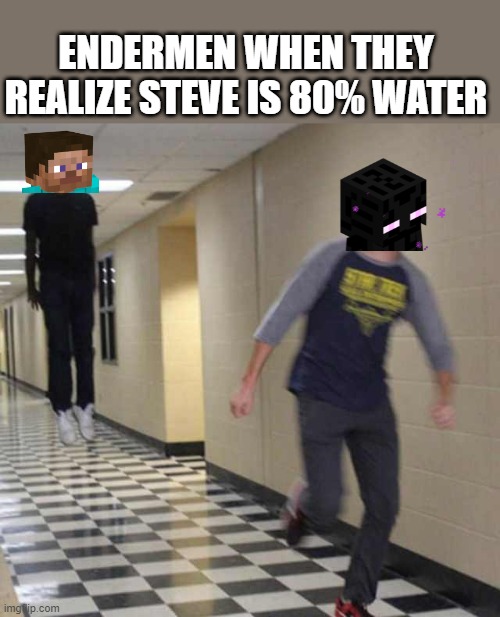 floating boy chasing running boy | ENDERMEN WHEN THEY REALIZE STEVE IS 80% WATER | image tagged in floating boy chasing running boy | made w/ Imgflip meme maker