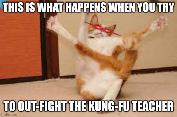 When you try to out fight your kung fu teacher | THIS IS WHAT HAPPENS WHEN YOU TRY; TO OUT-FIGHT THE KUNG-FU TEACHER | image tagged in funny cats | made w/ Imgflip meme maker
