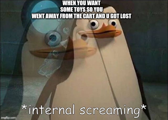 Am i right? | WHEN YOU WANT SOME TOYS SO YOU WENT AWAY FROM THE CART AND U GOT LOST | image tagged in private internal screaming | made w/ Imgflip meme maker