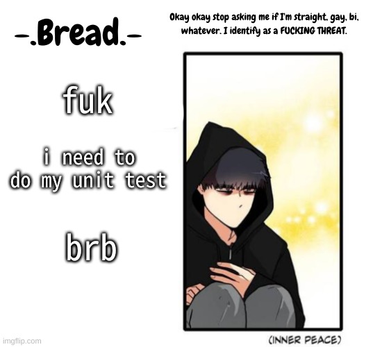 .-. | fuk; i need to do my unit test; brb | image tagged in breads inner peace temp | made w/ Imgflip meme maker