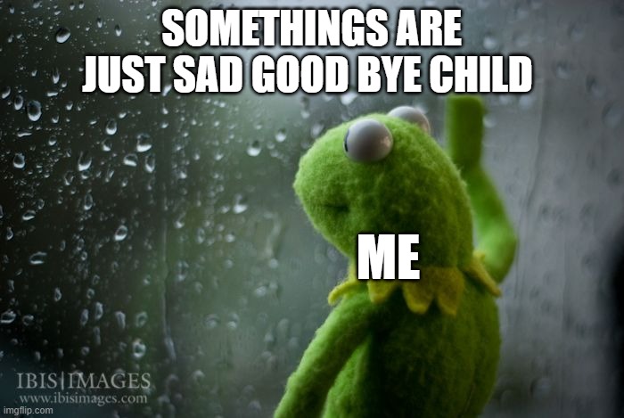 SOMETHINGS ARE JUST SAD GOOD BYE CHILD ME | image tagged in kermit window | made w/ Imgflip meme maker