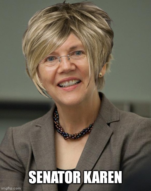 SENATOR KAREN | made w/ Imgflip meme maker