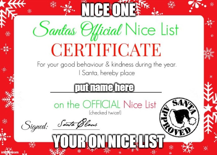 Put your name here put your name here and merry Christmas | NICE ONE; put name here; YOUR ON NICE LIST | image tagged in nice list | made w/ Imgflip meme maker
