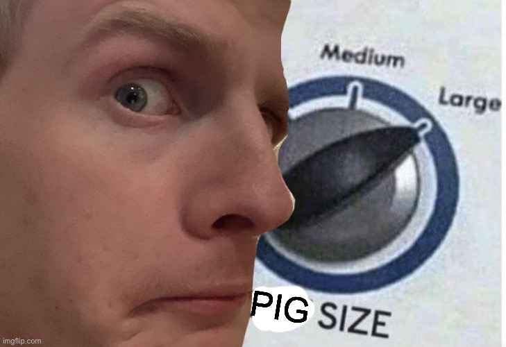 Pig size large | PIG | image tagged in funny | made w/ Imgflip meme maker