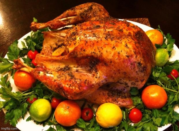 Roasted turkey | image tagged in roasted turkey | made w/ Imgflip meme maker