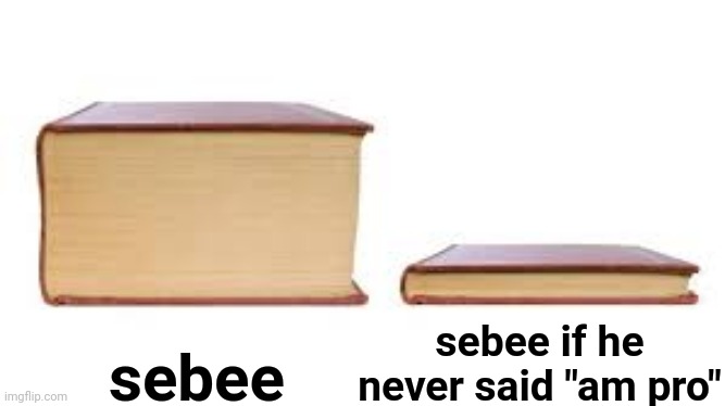 am pro | sebee if he never said "am pro"; sebee | image tagged in big book small book | made w/ Imgflip meme maker