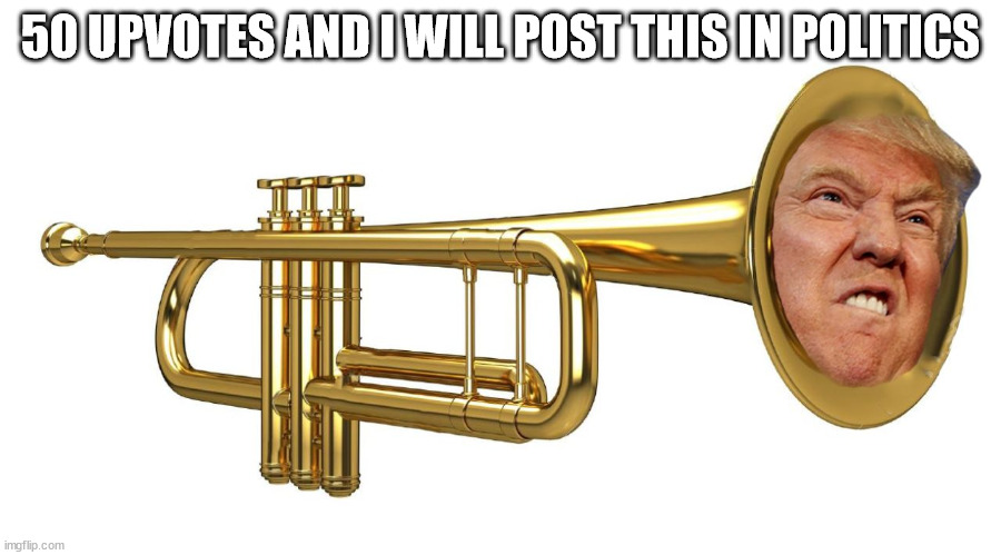Donald Trumpet | 50 UPVOTES AND I WILL POST THIS IN POLITICS | image tagged in donald trumpet | made w/ Imgflip meme maker