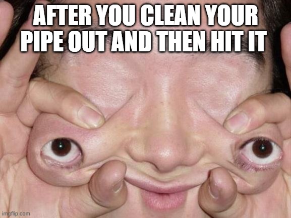  AFTER YOU CLEAN YOUR PIPE OUT AND THEN HIT IT | image tagged in stoner,funny | made w/ Imgflip meme maker