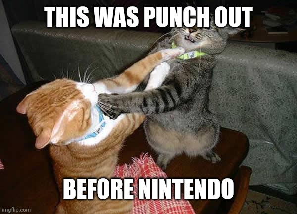 Two cats fighting for real | THIS WAS PUNCH OUT; BEFORE NINTENDO | image tagged in two cats fighting for real | made w/ Imgflip meme maker