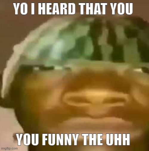shitpost | YO I HEARD THAT YOU YOU FUNNY THE UHH | image tagged in shitpost | made w/ Imgflip meme maker