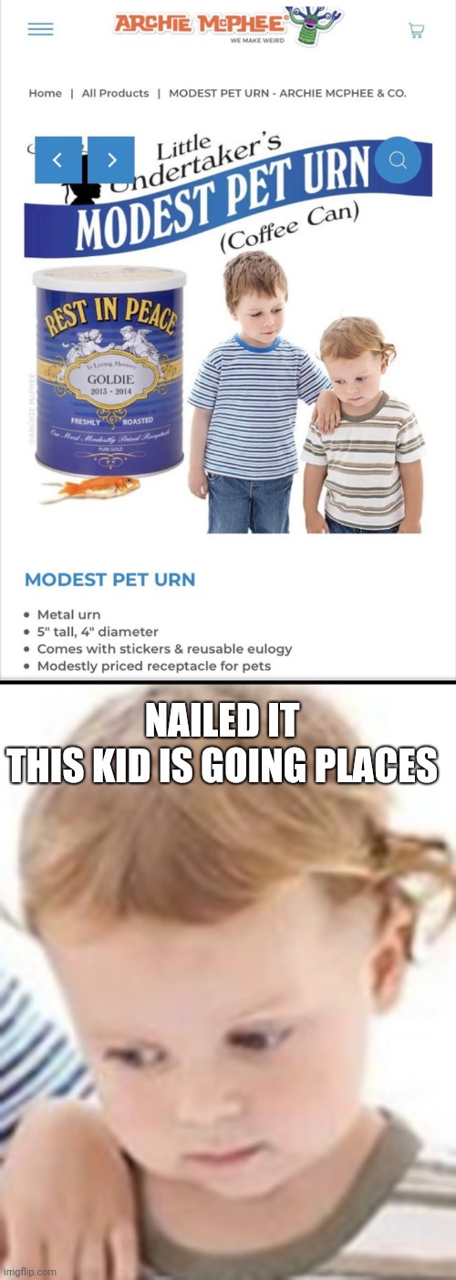 NAILED IT

THIS KID IS GOING PLACES | image tagged in nailed it,and the ocscar goes to | made w/ Imgflip meme maker