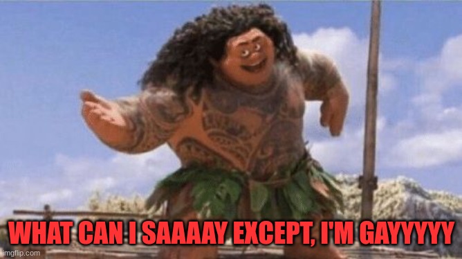 GAYYY | WHAT CAN I SAAAAY EXCEPT, I'M GAYYYYY | image tagged in what can i say except x | made w/ Imgflip meme maker