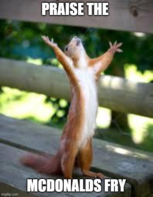 Praise Squirrel | PRAISE THE MCDONALDS FRY | image tagged in praise squirrel | made w/ Imgflip meme maker