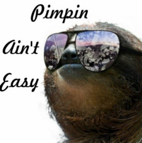 Sloth pimpin ain’t easy Blank Meme Template