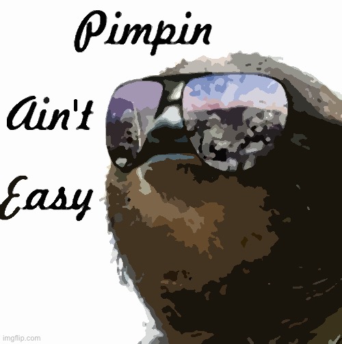 Sloth pimpin ain’t easy | image tagged in sloth pimpin ain t easy | made w/ Imgflip meme maker