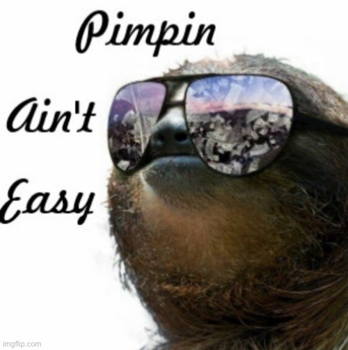 Sloth pimpin ain’t easy | image tagged in sloth pimpin ain t easy | made w/ Imgflip meme maker