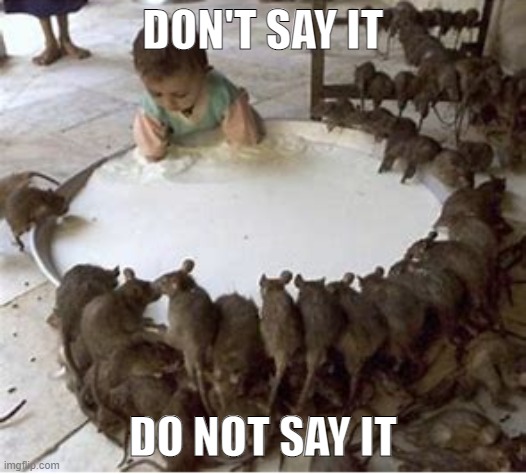 DON'T SAY IT; DO NOT SAY IT | made w/ Imgflip meme maker