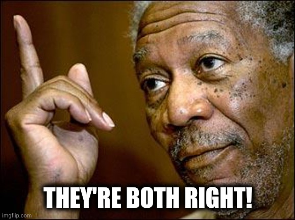 This Morgan Freeman | THEY'RE BOTH RIGHT! | image tagged in this morgan freeman | made w/ Imgflip meme maker