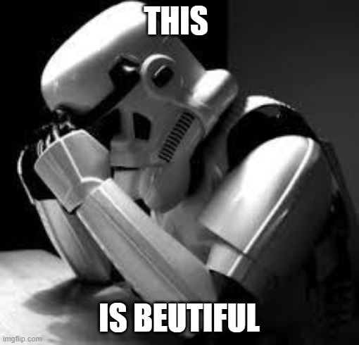 Crying stormtrooper | THIS IS BEUTIFUL | image tagged in crying stormtrooper | made w/ Imgflip meme maker