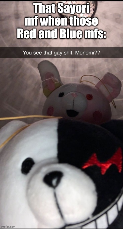 You see that gay shit, Monomi?? | That Sayori mf when those Red and Blue mfs: | image tagged in you see that gay shit monomi | made w/ Imgflip meme maker