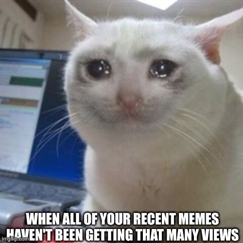 we can all relate, right? | WHEN ALL OF YOUR RECENT MEMES HAVEN'T BEEN GETTING THAT MANY VIEWS | image tagged in crying cat,relatable,so true memes,memes,poor kitty | made w/ Imgflip meme maker