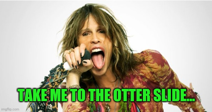 Steven Tyler | TAKE ME TO THE OTTER SLIDE... | image tagged in steven tyler | made w/ Imgflip meme maker