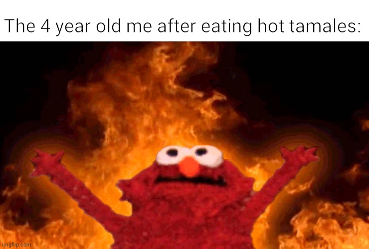 Hot tamales | The 4 year old me after eating hot tamales: | image tagged in elmo fire,candy,memes,meme,funny memes,funny meme | made w/ Imgflip meme maker