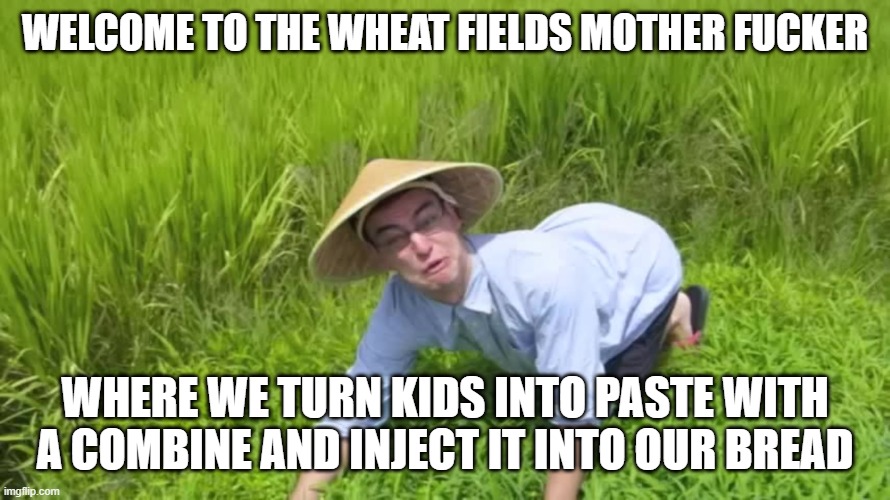 WELCOME TO THE RICE FIELDS | WELCOME TO THE WHEAT FIELDS MOTHER FUCKER WHERE WE TURN KIDS INTO PASTE WITH A COMBINE AND INJECT IT INTO OUR BREAD | image tagged in welcome to the rice fields | made w/ Imgflip meme maker