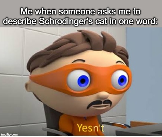 Yesn't | Me when someone asks me to describe Schrodinger's cat in one word: | image tagged in yesn't | made w/ Imgflip meme maker