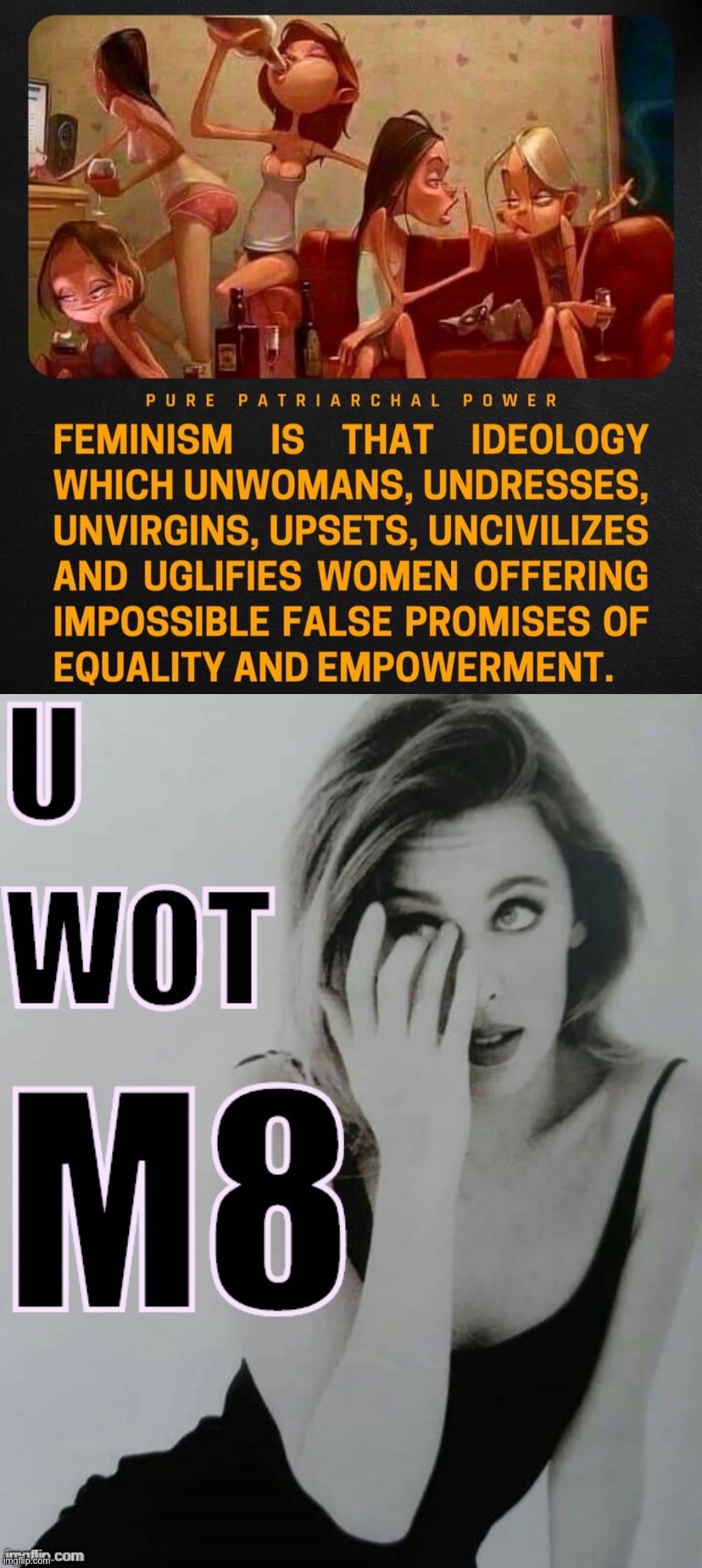 Some mighty cringe right there | image tagged in pure patriarchal power,kylie u wot m8 | made w/ Imgflip meme maker