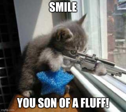 CatSniper | SMILE; YOU SON OF A FLUFF! | image tagged in catsniper | made w/ Imgflip meme maker