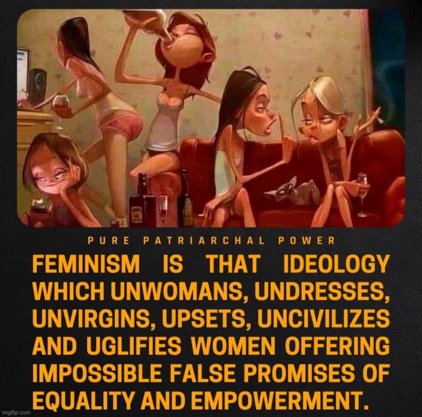 every word is ture maga | image tagged in pure patriarchal power,feminism,feminism is cancer,anti-feminism,every word,is ture | made w/ Imgflip meme maker