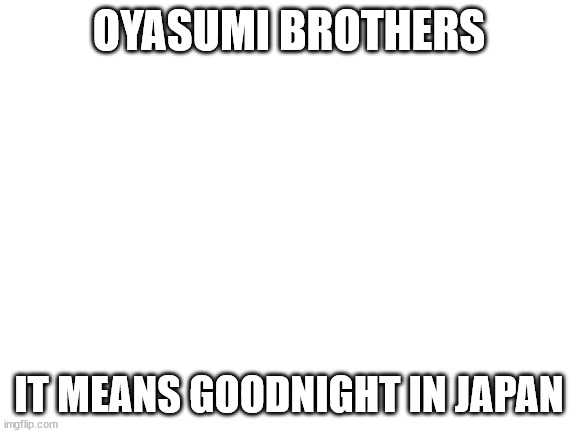 ill stay here more for a while tho so | OYASUMI BROTHERS; IT MEANS GOODNIGHT IN JAPAN | image tagged in blank white template | made w/ Imgflip meme maker